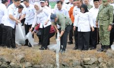 Gubernur Mirza Tebar 33 Ribu Bibit Ikan di Sungai Mesuji, Perkuat Ketahanan Pangan dan Ekonomi Warga